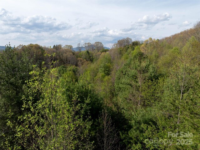 LOT38 Sunnybrook Trl, Clyde, NC 28721