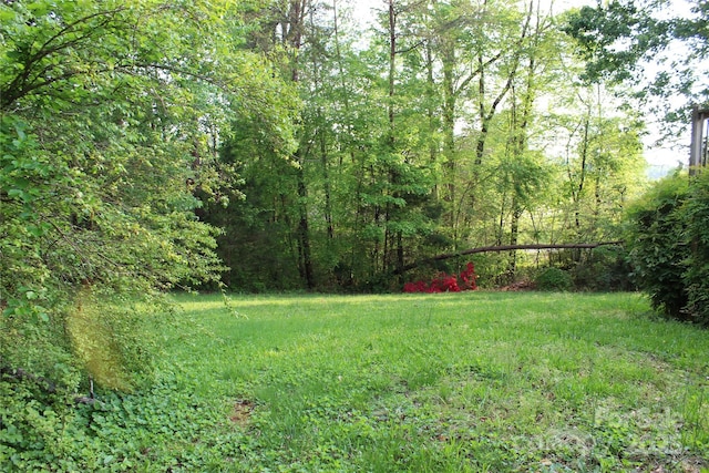 view of yard with a forest view