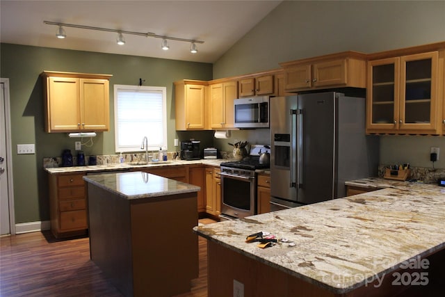 kitchen featuring stainless steel appliances, a sink, glass insert cabinets, light stone countertops, and dark wood-type flooring