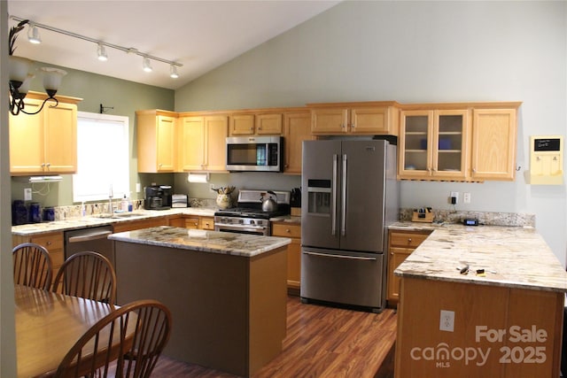 kitchen featuring dark wood-style floors, rail lighting, a sink, glass insert cabinets, and appliances with stainless steel finishes