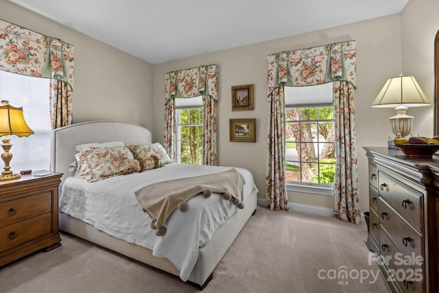 6914 Riesman Ln Unit 95, Charlotte, NC 28210 - bedroom with baseboards, carpet flooring, and multiple windows