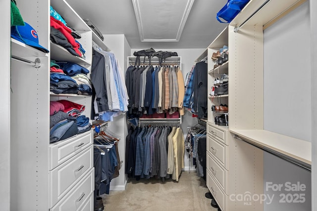 1948 Winpole Ln, Charlotte, NC 28273 - spacious closet featuring attic access and light carpet