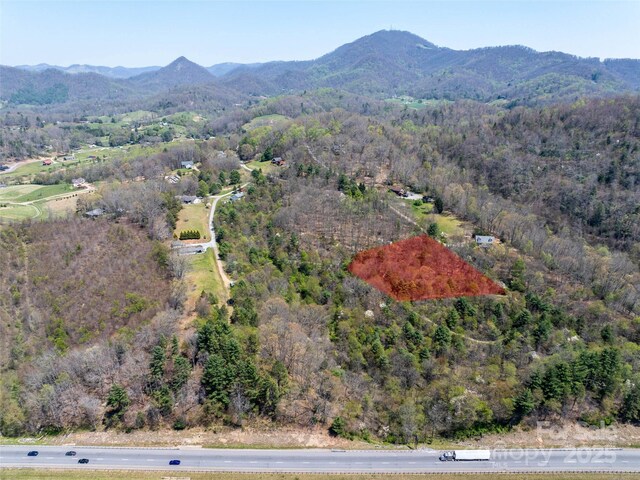 LOT40 Sunnybrook Trl, Clyde, NC 28721