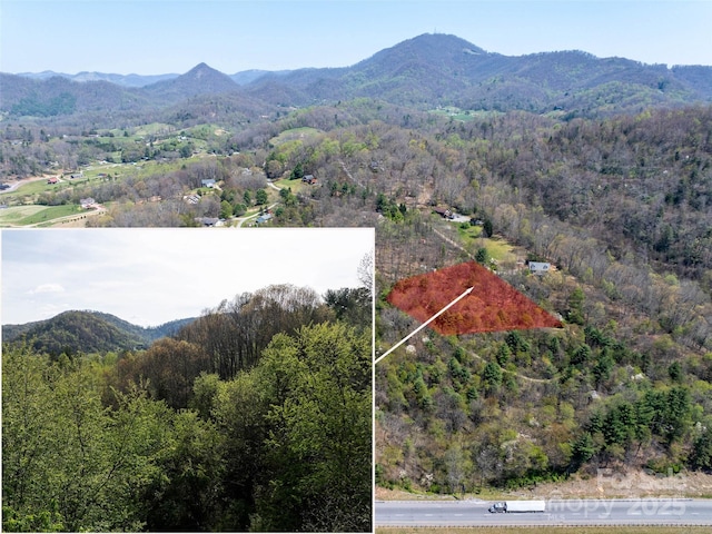LOT40 Sunnybrook Trl, Clyde, NC 28721