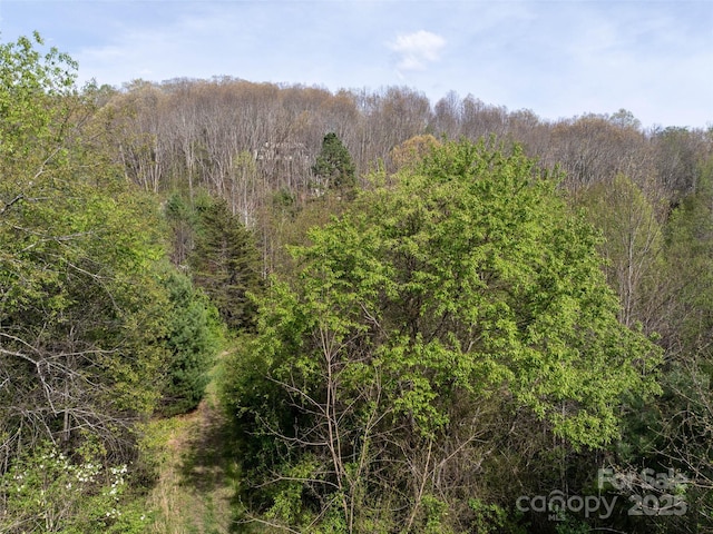 LOT40 Sunnybrook Trl, Clyde, NC 28721