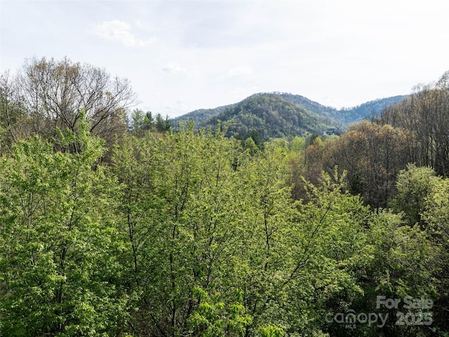 LOT40 Sunnybrook Trl, Clyde, NC 28721