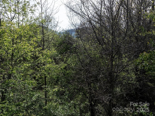 LOT40 Sunnybrook Trl, Clyde, NC 28721