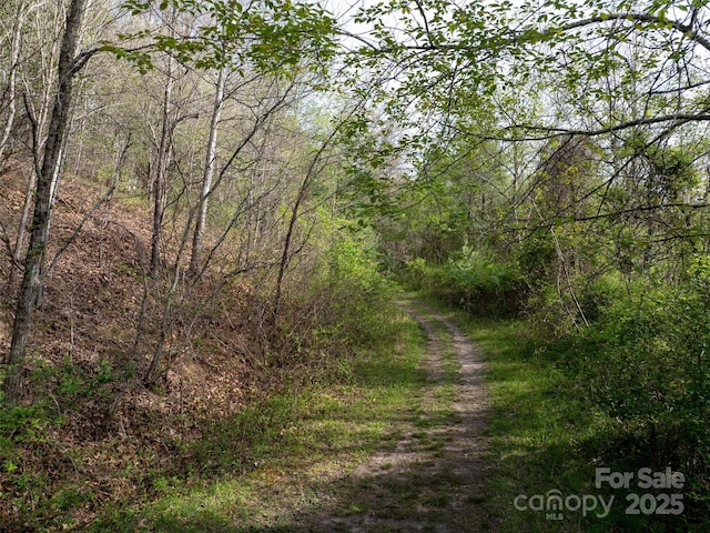 LOT40 Sunnybrook Trl, Clyde, NC 28721
