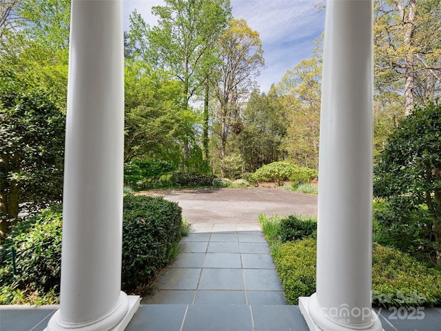 10 Stuyvesant Rd, Asheville, NC 28803 - exterior space