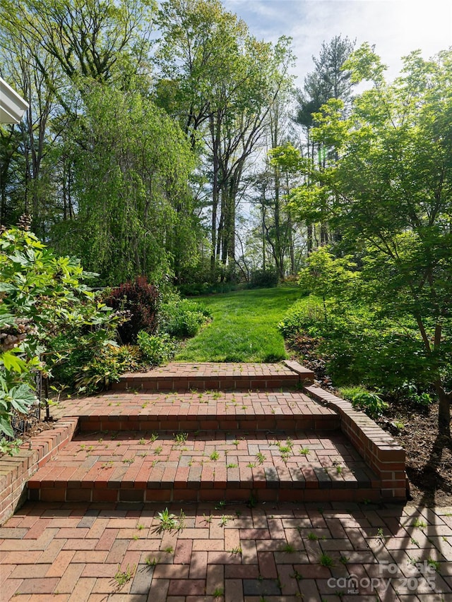 10 Stuyvesant Rd, Asheville, NC 28803 - exterior space