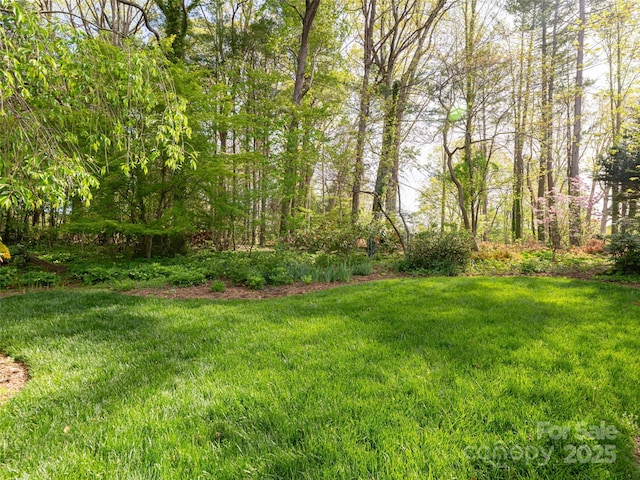 10 Stuyvesant Rd, Asheville, NC 28803 - view of yard