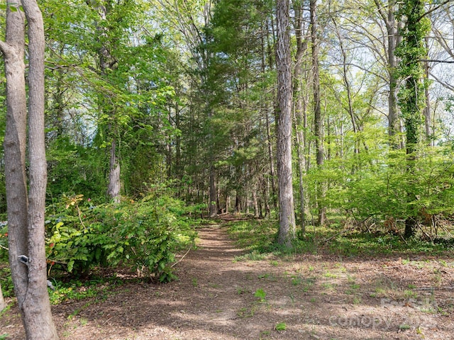 10 Stuyvesant Rd, Asheville, NC 28803 - view of nature with a view of trees
