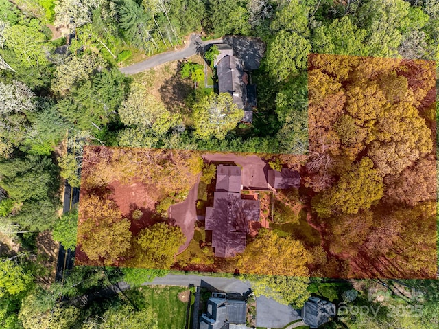 10 Stuyvesant Rd, Asheville, NC 28803 - birds eye view of property