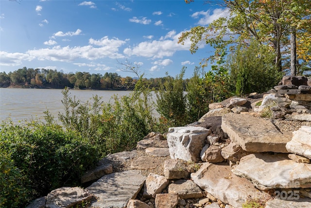 4950 Canterbury Pl, Morganton, NC 28655 - view of water feature