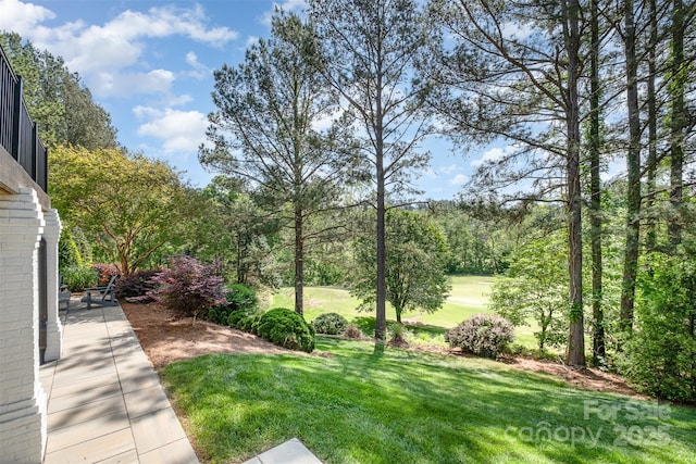 view of yard