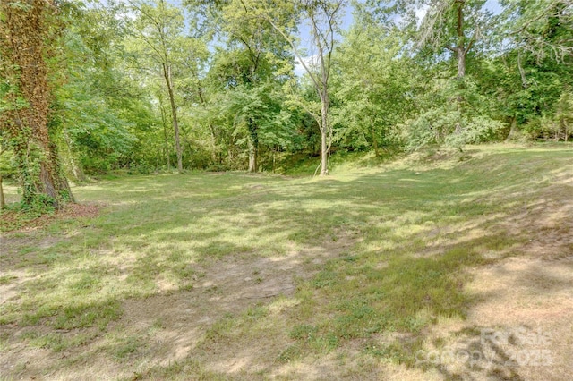 view of yard featuring a wooded view