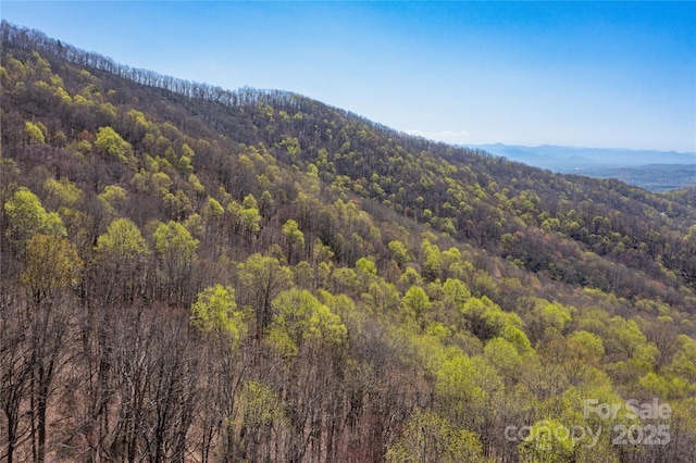 28 Spruce Chase Ln, Swannanoa, NC 28778 - mountain view featuring a heavily wooded area