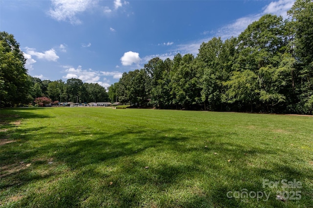 3329 Winnipeg Cir, Charlotte, NC 28210 - photo 45