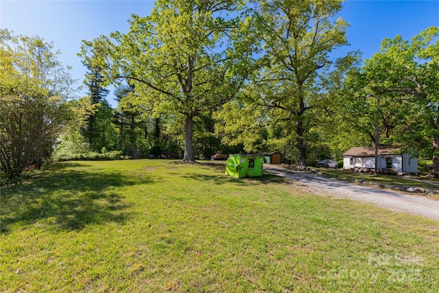 view of yard with dirt driveway