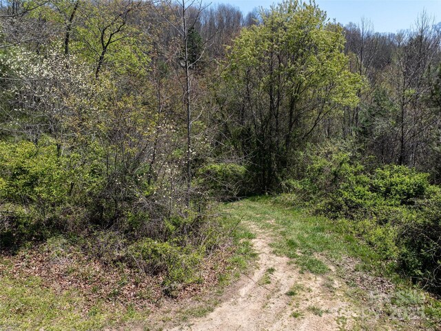 LOT43 Sunnybrook Trl, Clyde, NC 28721