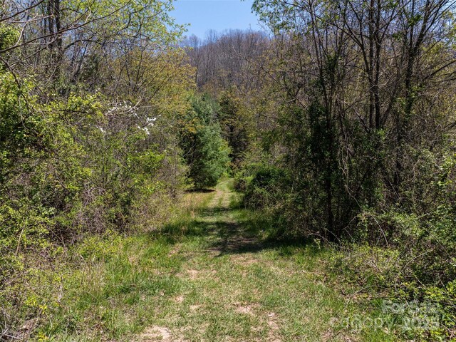 LOT43 Sunnybrook Trl, Clyde, NC 28721