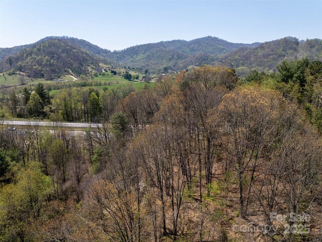 LOT43 Sunnybrook Trl, Clyde, NC 28721