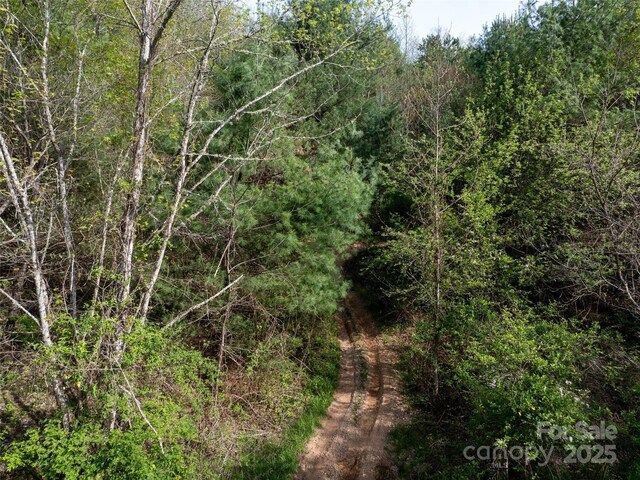 LOT43 Sunnybrook Trl, Clyde, NC 28721