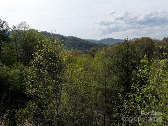 LOT43 Sunnybrook Trl, Clyde, NC 28721