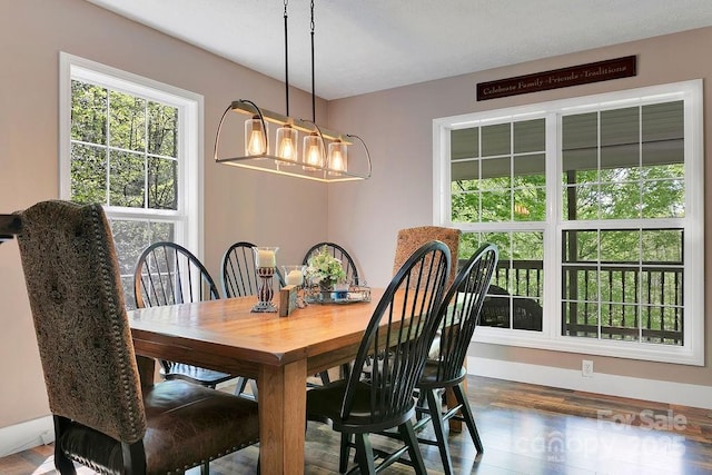 dining room with wood finished floors