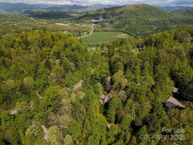 birds eye view of property with a mountain view and a forest view