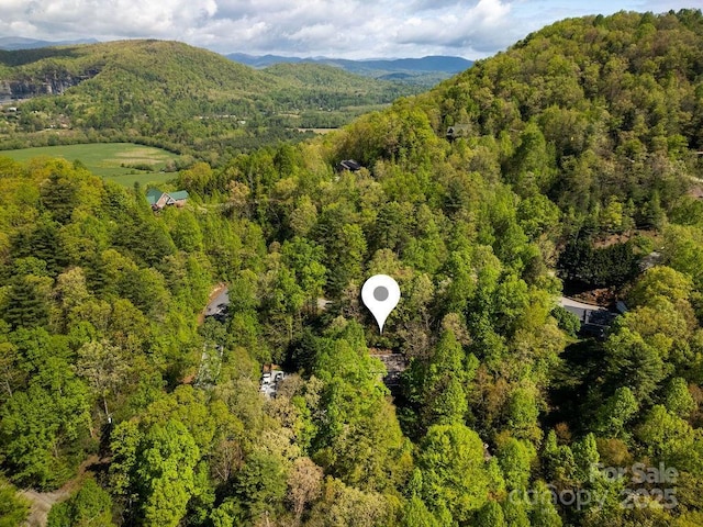 birds eye view of property featuring a mountain view and a forest view