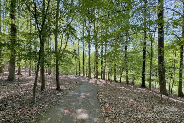 6510 Clavell Ln Unit B, Charlotte, NC 28210 - view of road with a forest view