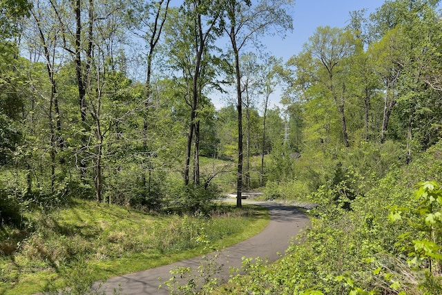 6510 Clavell Ln Unit B, Charlotte, NC 28210 - view of street featuring a wooded view