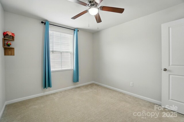 4439 Wild Ridge Dr, Charlotte, NC 28215 - photo 23