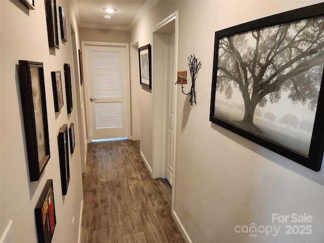 hallway with crown molding, baseboards, and dark wood-style flooring