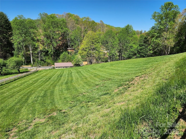 view of yard with a wooded view and a rural view