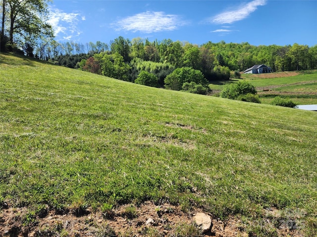 view of yard featuring a rural view