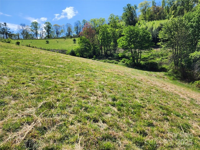 view of yard with a rural view