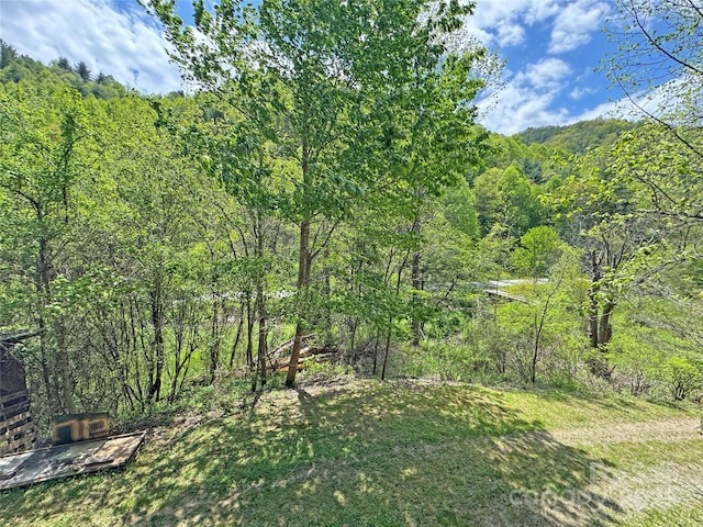 view of nature featuring a view of trees