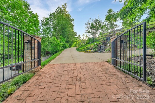 26 Bonnies Cove Trl, Mills River, NC 28759 - photo 7