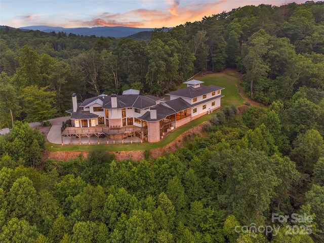 26 Bonnies Cove Trl, Mills River, NC 28759 - photo 48