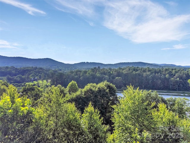 26 Bonnies Cove Trl, Mills River, NC 28759 - photo 5