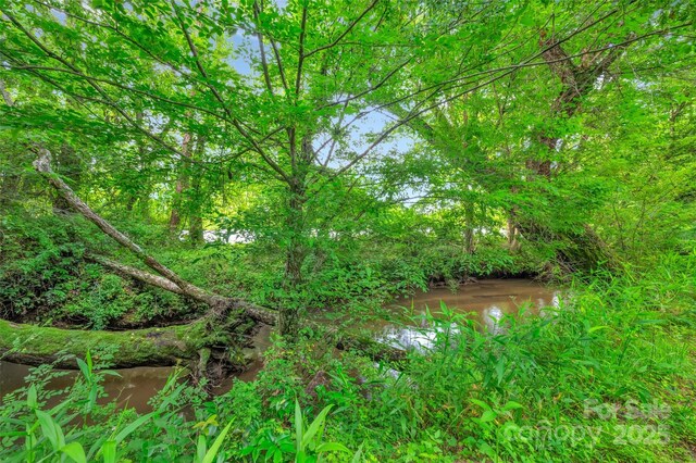 26 Bonnies Cove Trl, Mills River, NC 28759 - photo 8