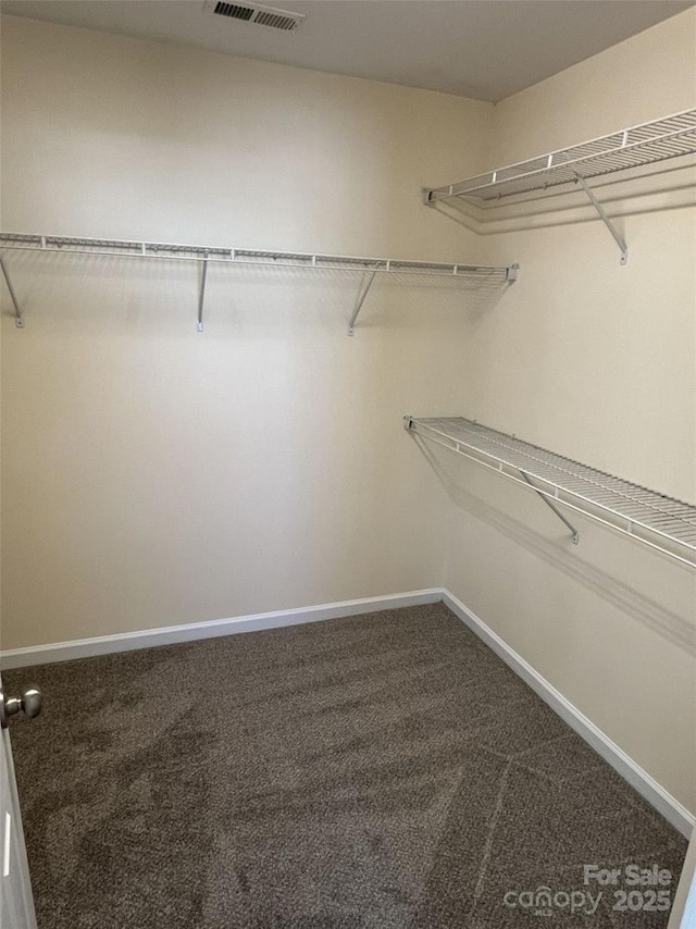 walk in closet featuring carpet flooring