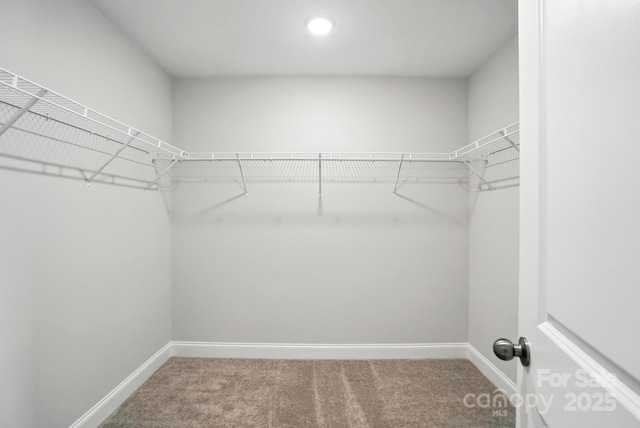 4248 Black Ct Unit 232, Harrisburg, NC 28075 - photo 27