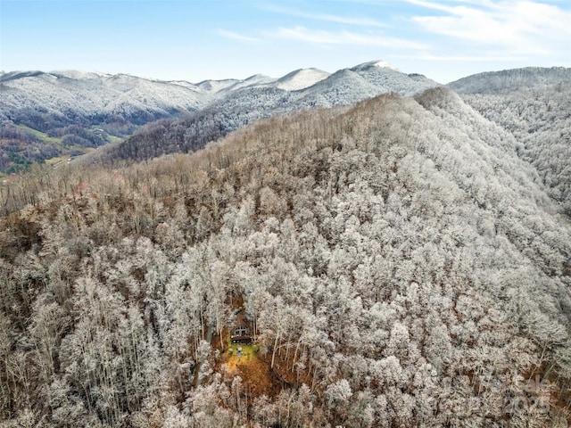 171 Jade Dr, Clyde, NC 28721 - view of mountain background