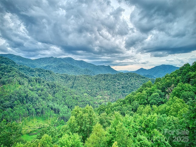 171 Jade Dr, Clyde, NC 28721 - mountain view with a heavily wooded area