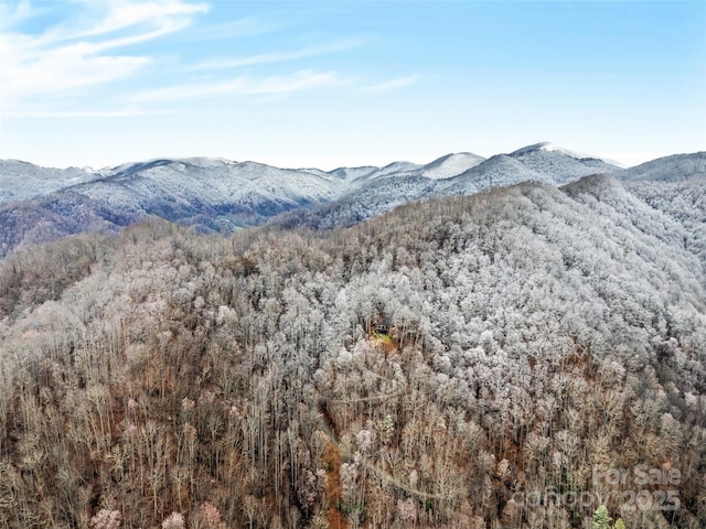 171 Jade Dr, Clyde, NC 28721 - view of mountain backdrop featuring a forest