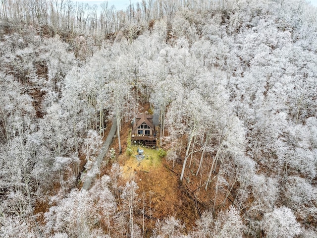 171 Jade Dr, Clyde, NC 28721 - view from above of property