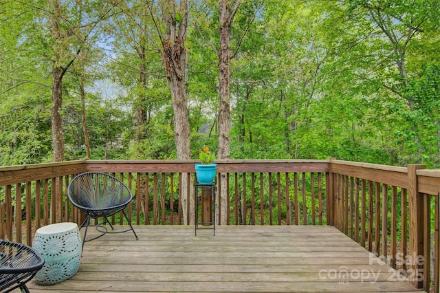 2835 24th Street Dr NE, Hickory, NC 28601 - photo 5